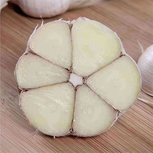 大蒜