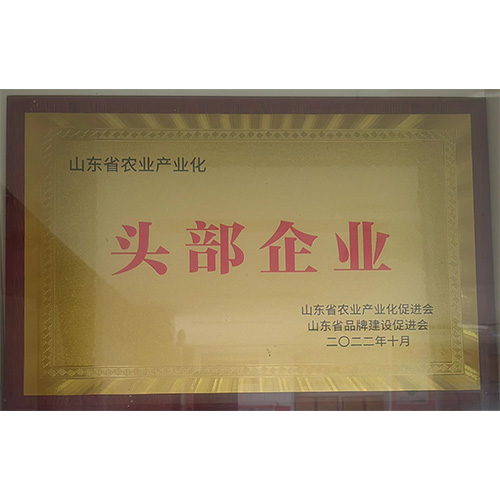 荣誉案例