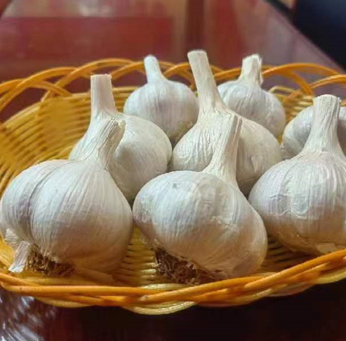 Garlic processing technology