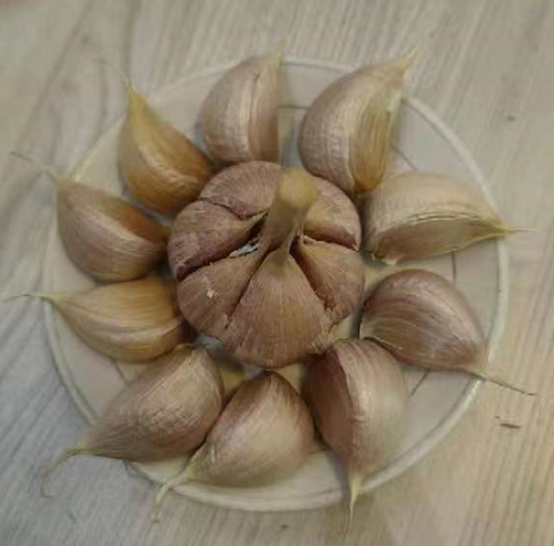 Can garlic regulate coughing and diarrhea?